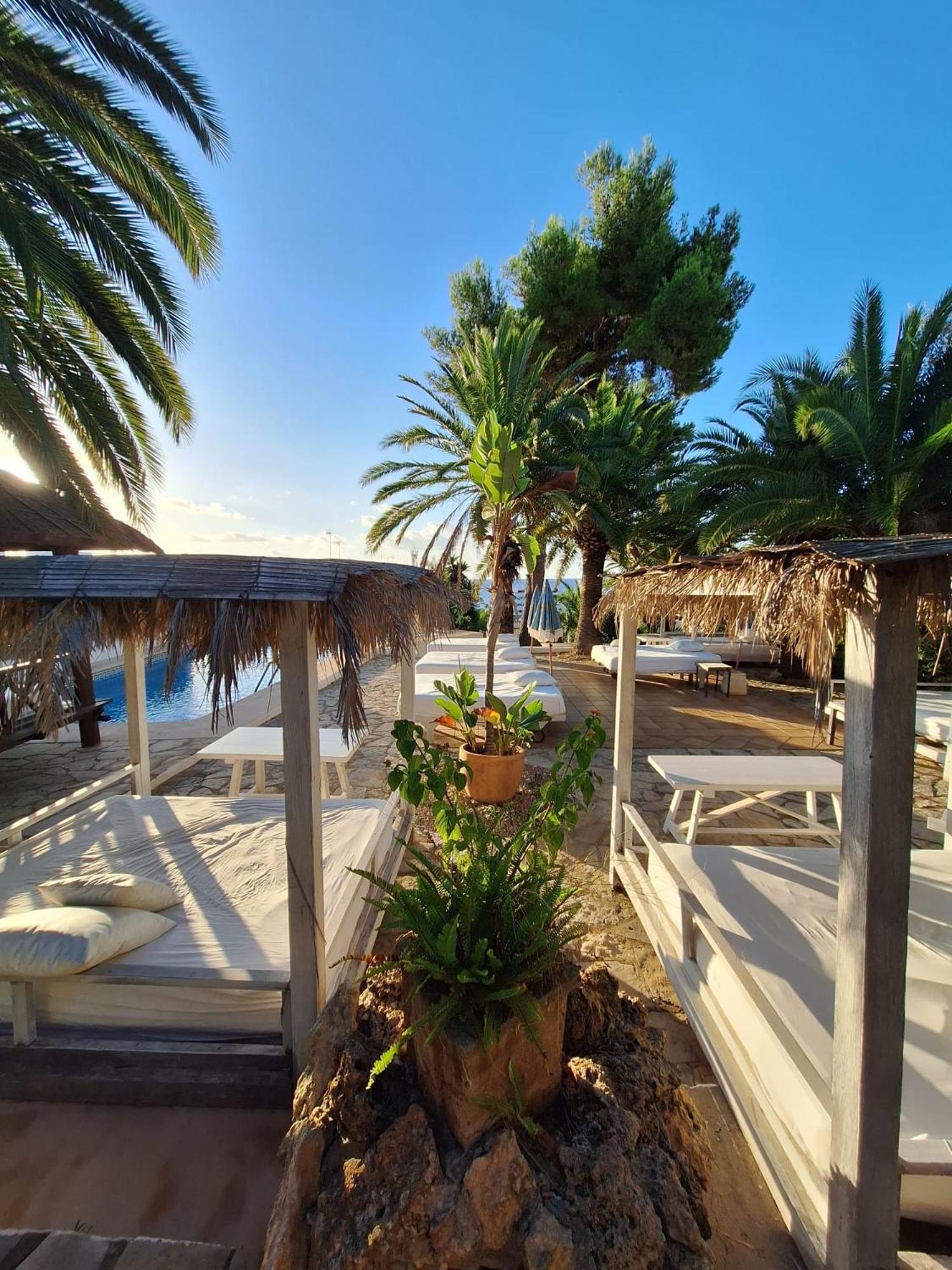Buenavista&suites